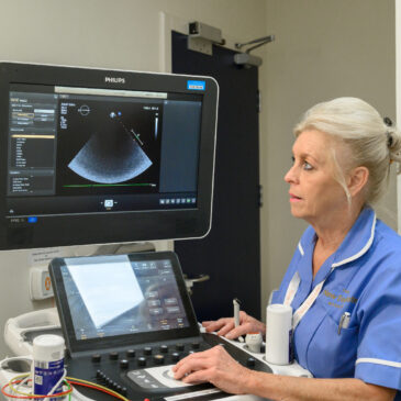 A nurse looks at an ultrasound scan on a monitor