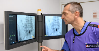 A radiologist looks at X-Rays on a monitor